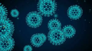 coronavirus